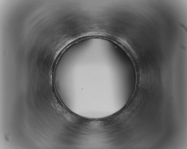 X0000102521268200808081021