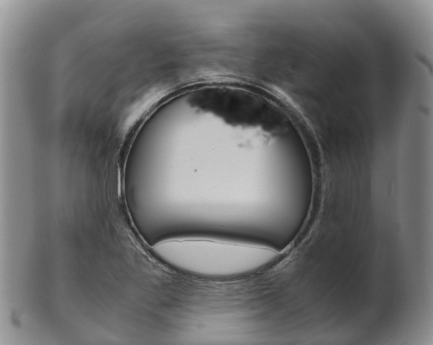 X0000102521269200808081021