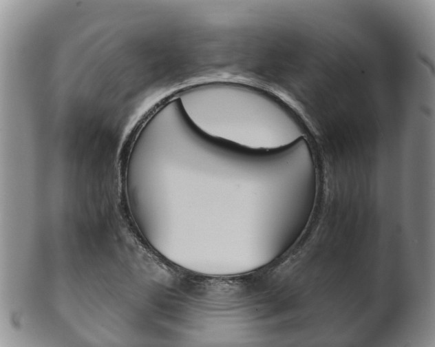 X0000102521270200808081021