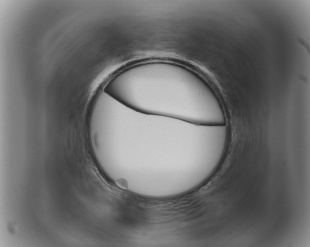 X0000102521271200808081021