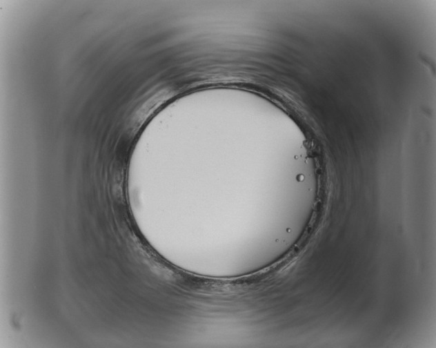 X0000102521273200808081021