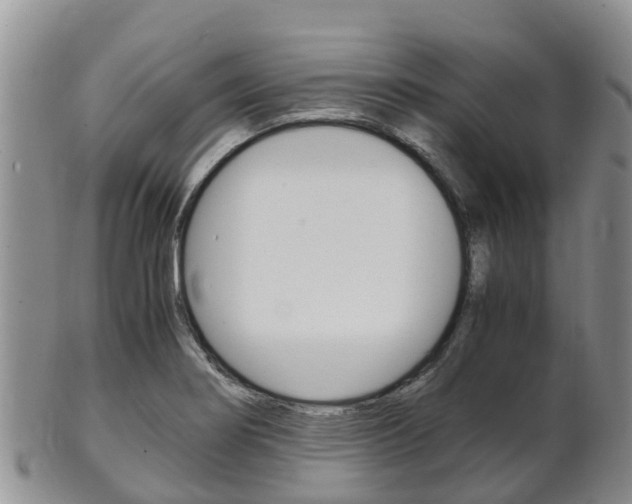 X0000102521274200808081021