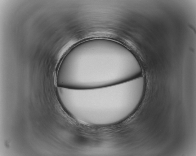 X0000102521275200808081021