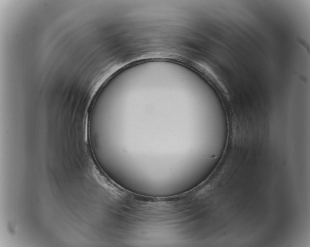 X0000102521276200808081021