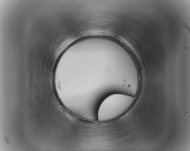 X0000102521277200808081021