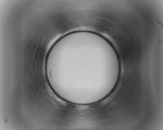 X0000102521278200808081021