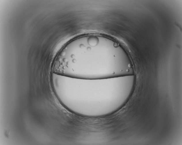X0000102521279200808081021