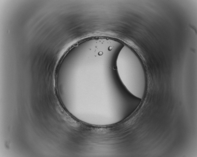 X0000102521280200808081021