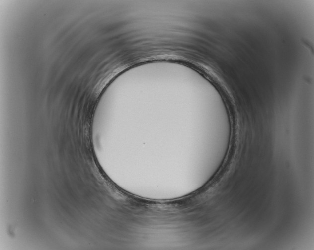 X0000102521281200808081021