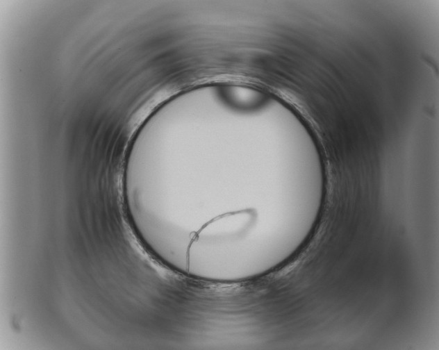 X0000102521282200808081021