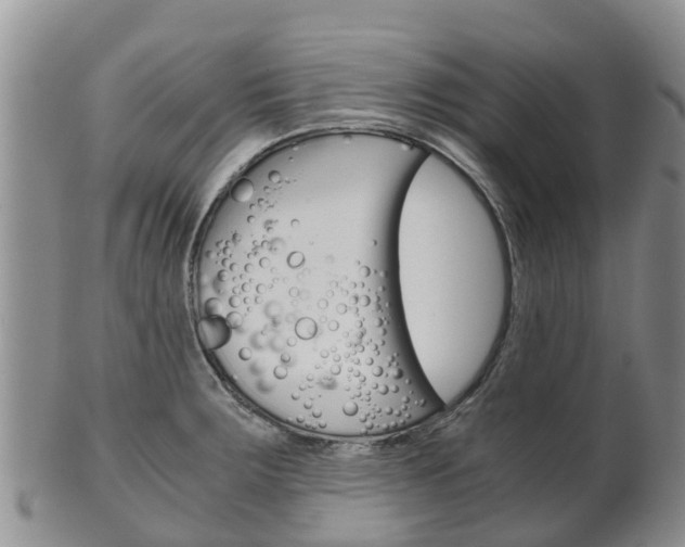 X0000102521283200808081021