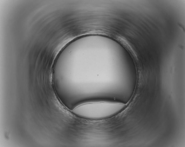 X0000102521284200808081021