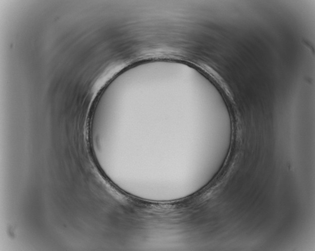 X0000102521285200808081021
