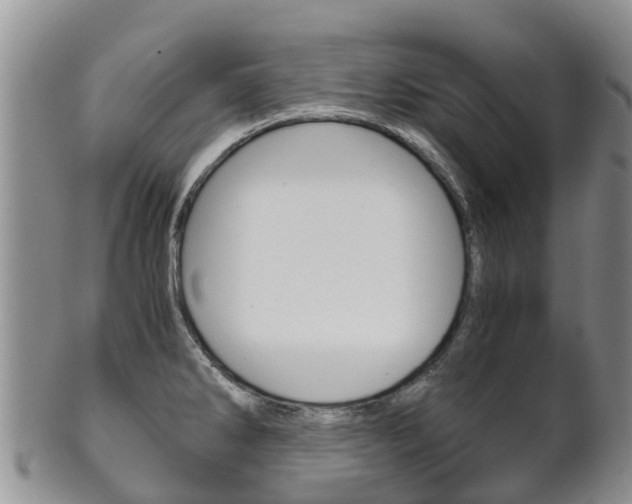 X0000102521286200808081021