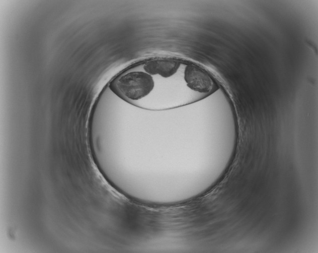 X0000102521287200808081021