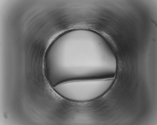 X0000102521288200808081021
