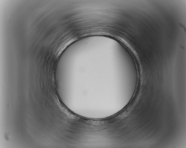 X0000102521289200808081021