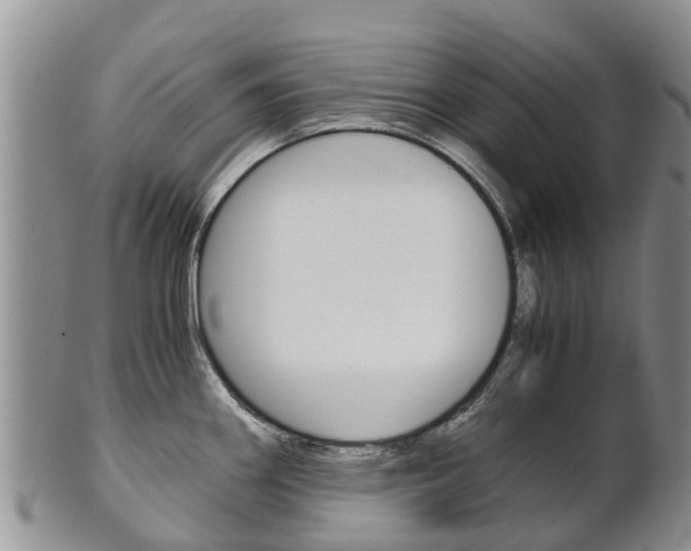 X0000102521290200808081021