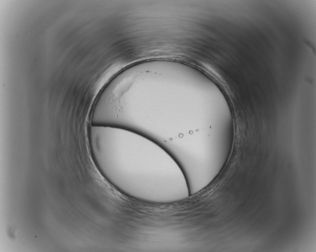 X0000102521291200808081021