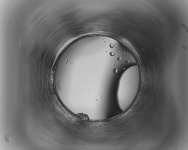 X0000102521292200808081021