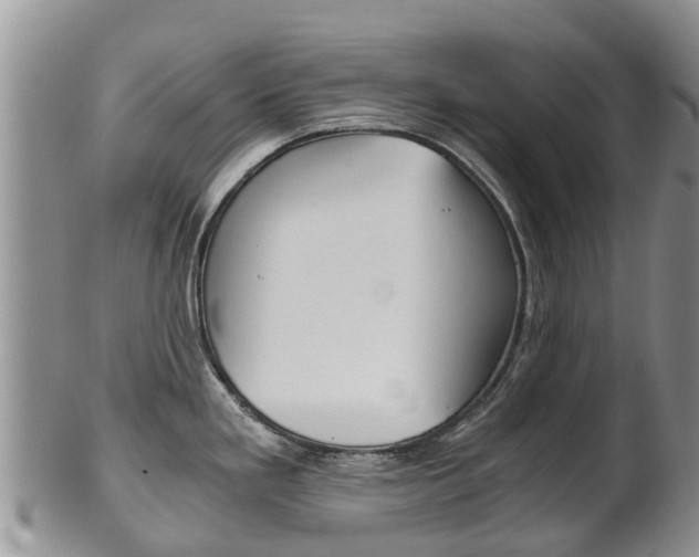 X0000102521293200808081021