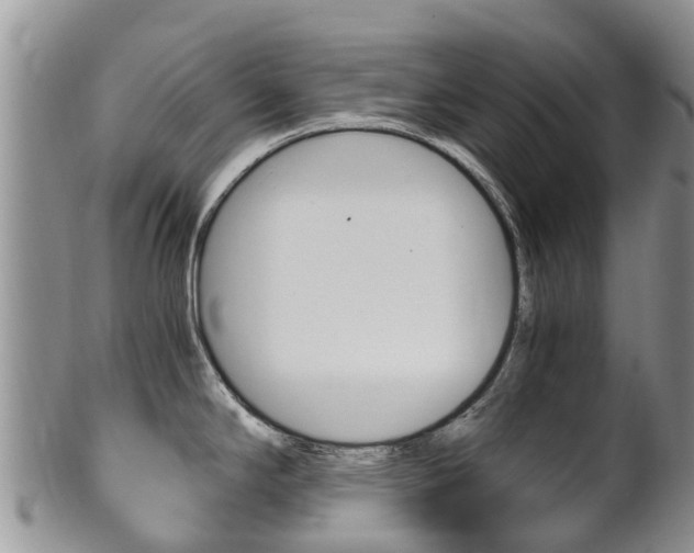 X0000102521294200808081021