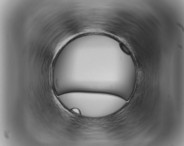 X0000102521295200808081021