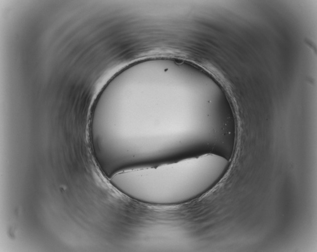 X0000102521296200808081021