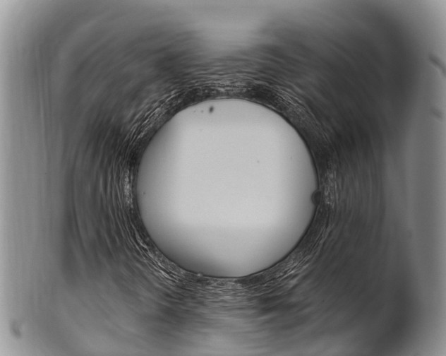 X0000102521298200808081020