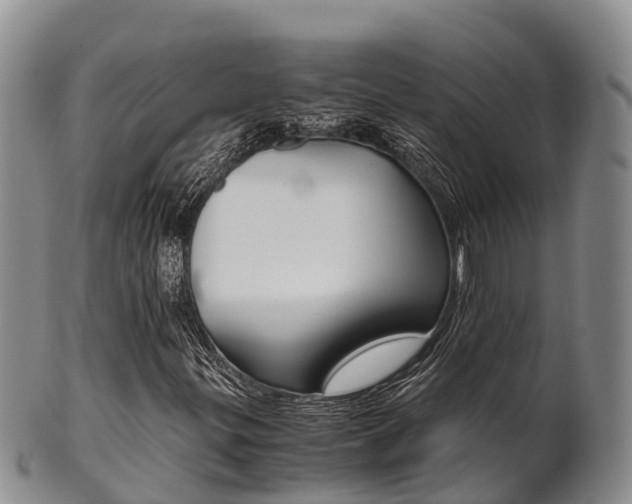 X0000102521299200808081020
