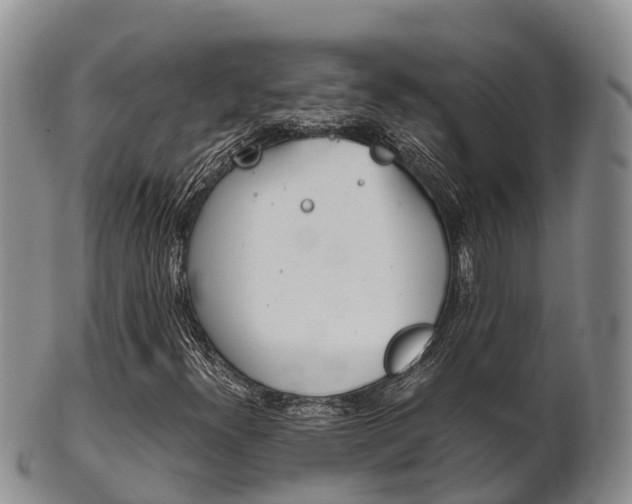 X0000102521300200808081020