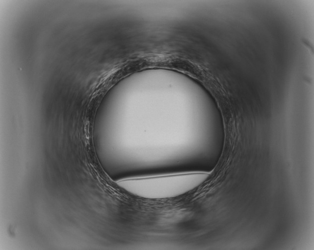 X0000102521301200808081020