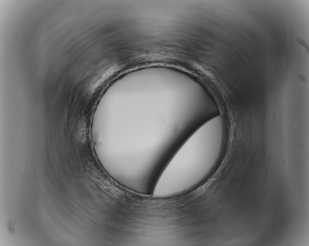 X0000102521306200808081020