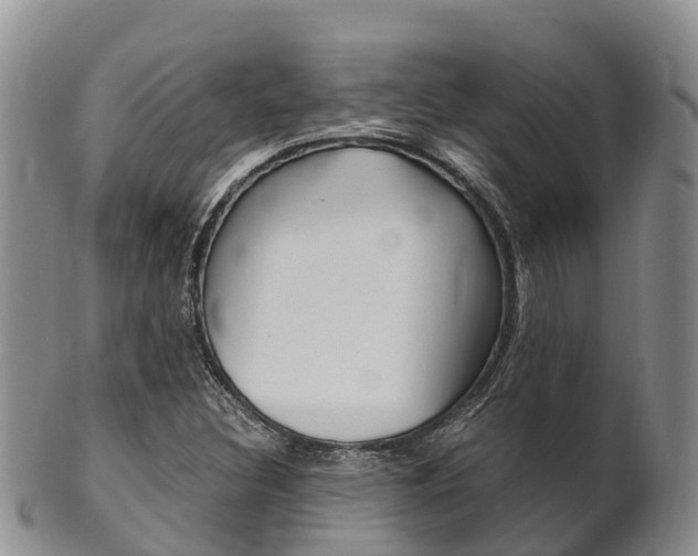 X0000102521308200808081020
