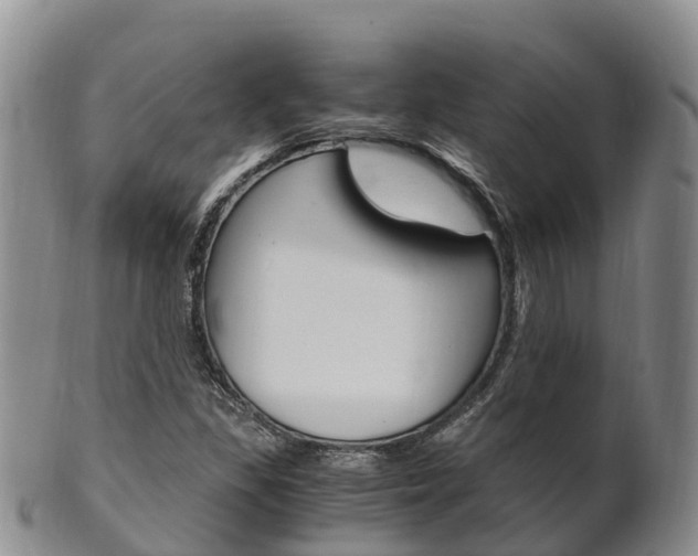X0000102521309200808081020