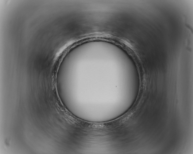 X0000102521310200808081020