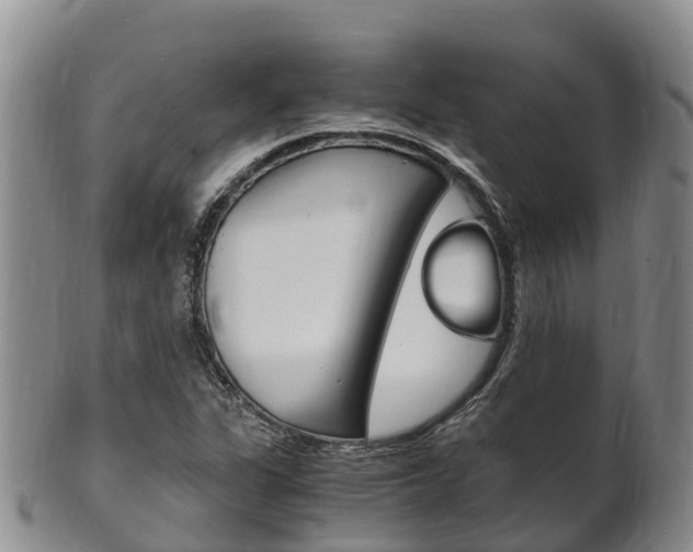 X0000102521311200808081020