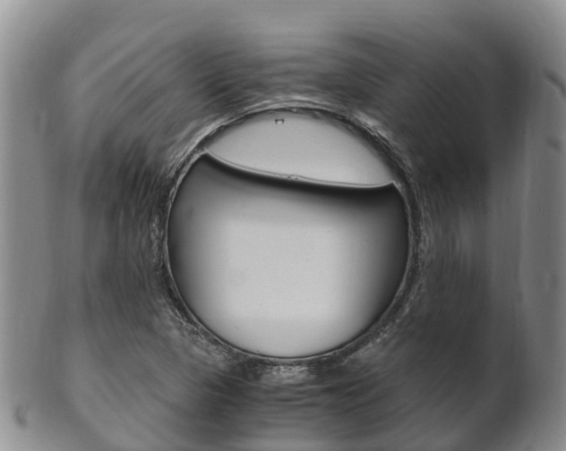 X0000102521313200808081020