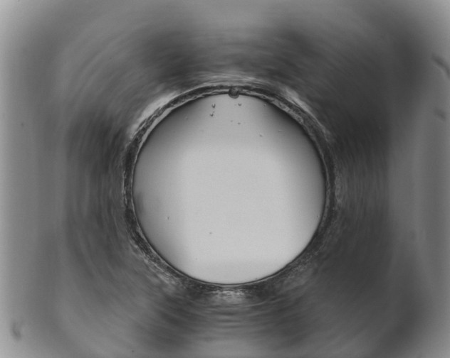 X0000102521315200808081020