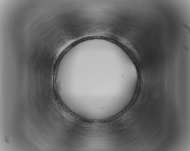 X0000102521316200808081020