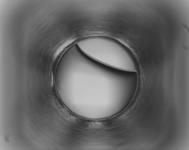 X0000102521317200808081020