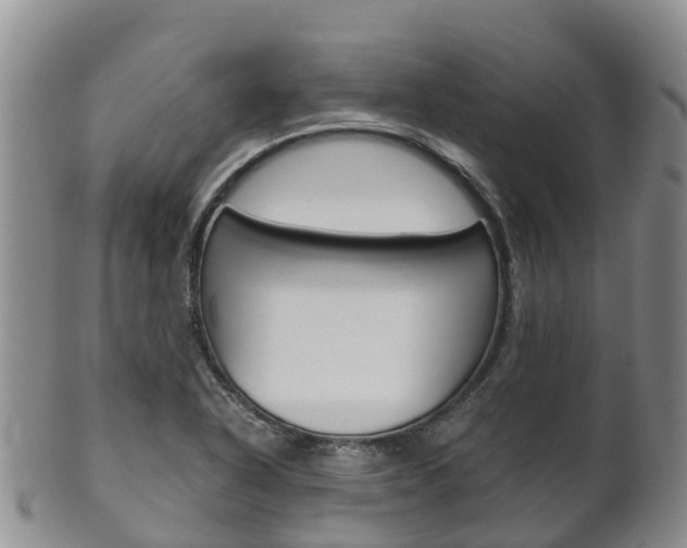 X0000102521318200808081020