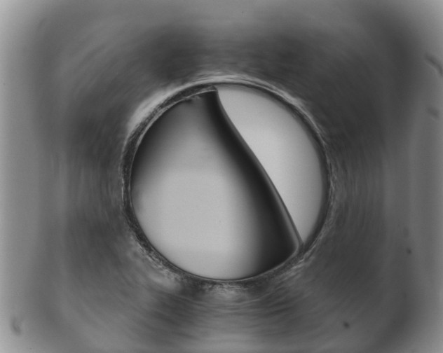 X0000102521319200808081020