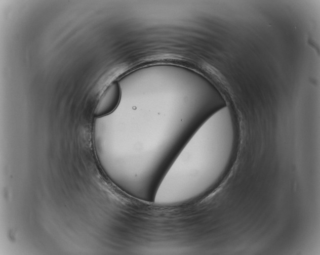 X0000102521321200808081020