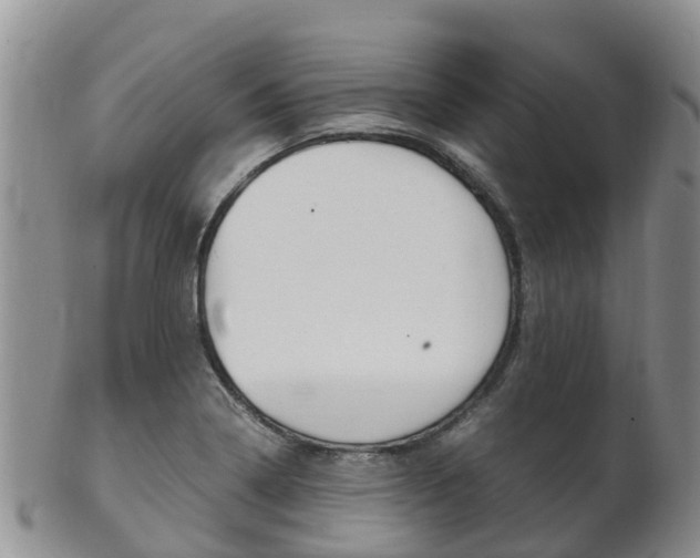 X0000102521322200808081020