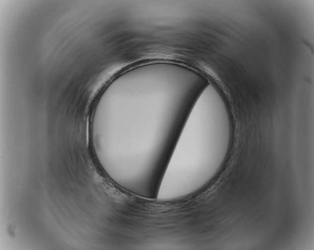 X0000102521323200808081020