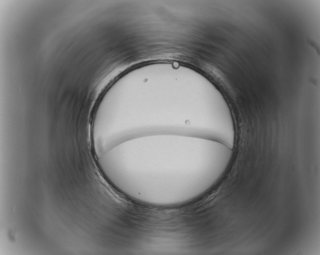 X0000102521324200808081020
