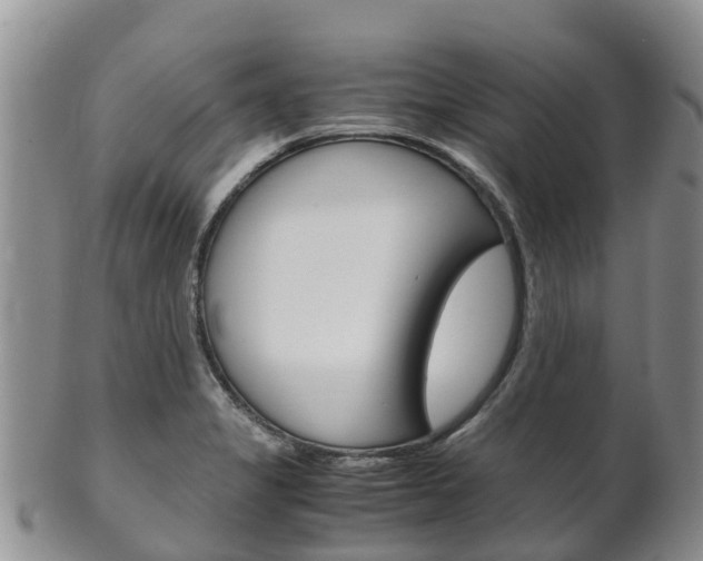 X0000102521325200808081020
