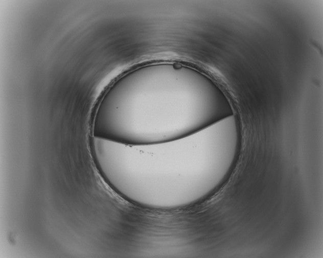 X0000102521326200808081020