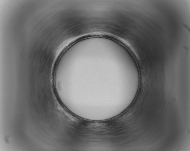 X0000102521327200808081021